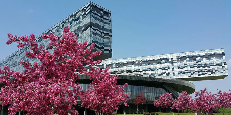 The first selection stage for the free education in «Skolkovo» for the schoolchildren of the Kizel coal – basin region is completed